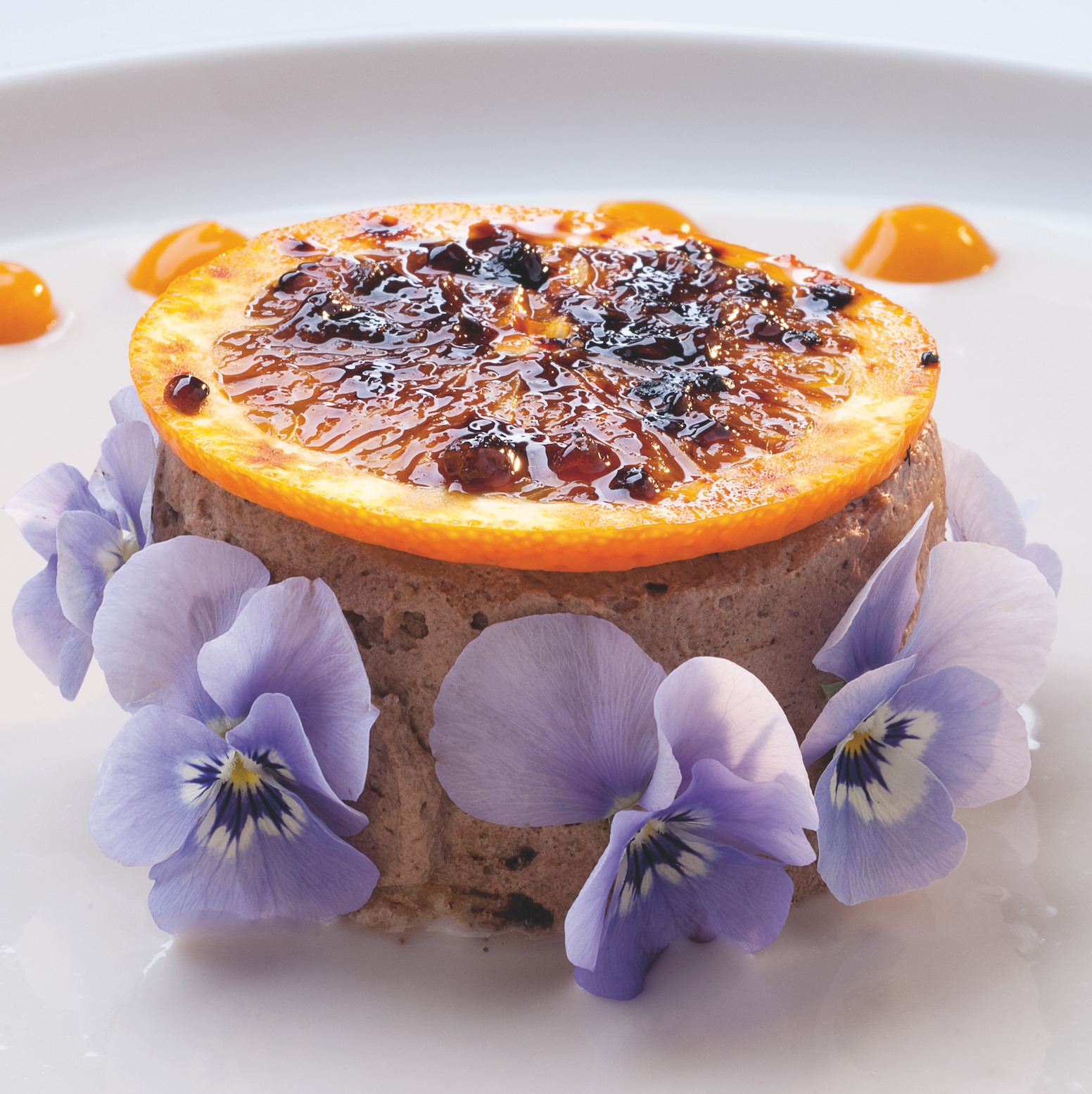 JOIA ACADEMY – Due Torte e Due Salse – Come Piacciono a Noi (13 maggio 2026)