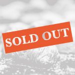 Corso di cucina vegana – Dolci tipici napoletani (30 novembre 2025)