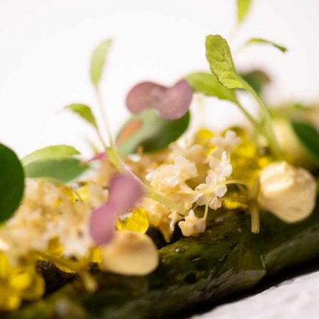 Corso di cucina vegana – RADICI FUTURE: Un menu primaverile completo, contemporaneo e innovativo (19 aprile 2026)