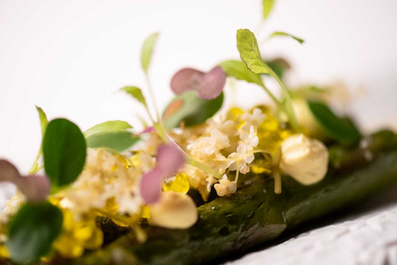 Corso di cucina vegana – RADICI FUTURE: Un menu primaverile completo, contemporaneo e innovativo (19 aprile 2026)